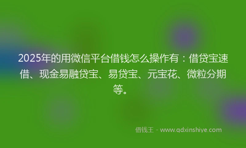 2025年的用微信平台借钱怎么操作有：借贷宝速借、现金易融贷宝、易贷宝、元宝花、微粒分期等。