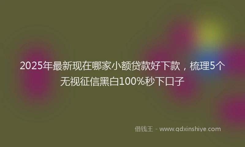2025年最新现在哪家小额贷款好下款，梳理5个无视征信黑白100%秒下口子