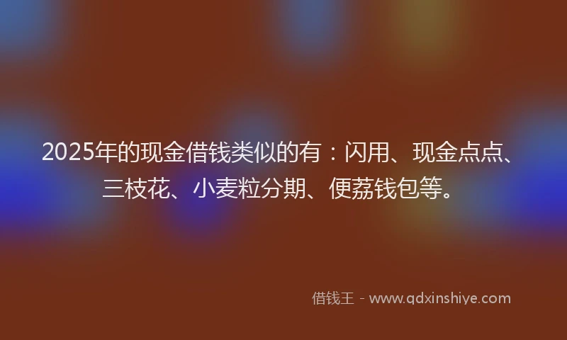 2025年的现金借钱类似的有：闪用、现金点点、三枝花、小麦粒分期、便荔钱包等。