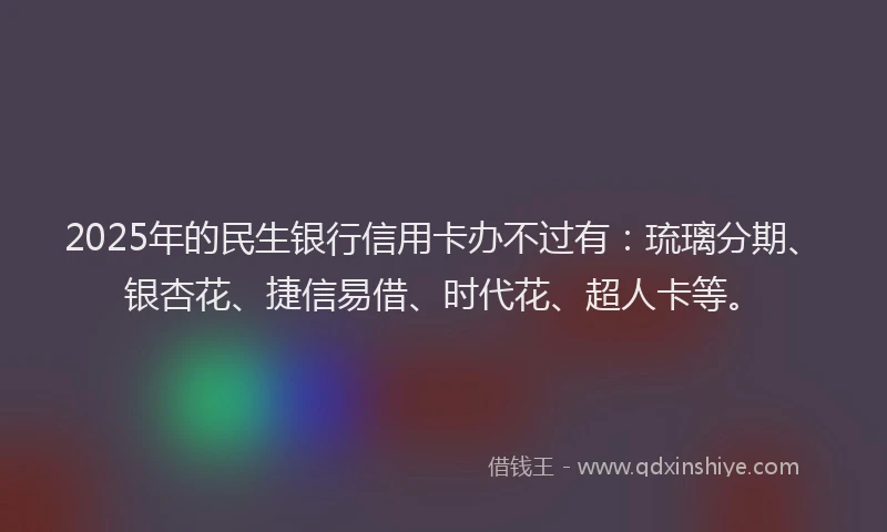 2025年的民生银行信用卡办不过有：琉璃分期、银杏花、捷信易借、时代花、超人卡等。