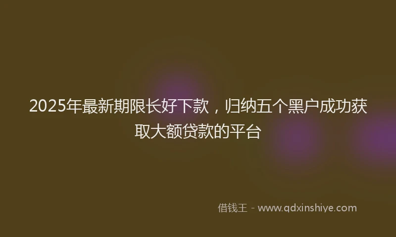 2025年最新期限长好下款，归纳五个黑户成功获取大额贷款的平台