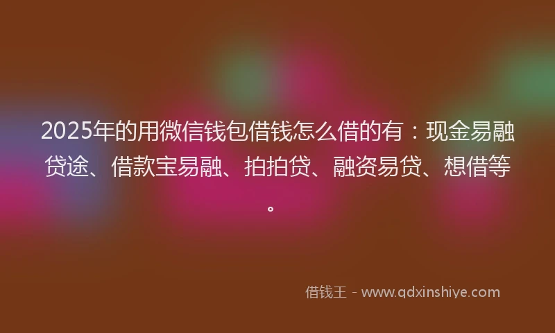 2025年的用微信钱包借钱怎么借的有：现金易融贷途、借款宝易融、拍拍贷、融资易贷、想借等。