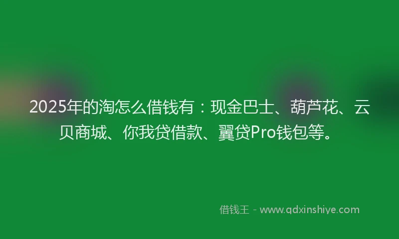 2025年的淘怎么借钱有：现金巴士、葫芦花、云贝商城、你我贷借款、翼贷Pro钱包等。