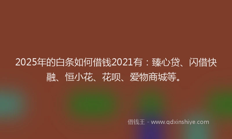 2025年的白条如何借钱2021有：臻心贷、闪借快融、恒小花、花呗、爱物商城等。