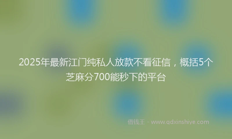 2025年最新江门纯私人放款不看征信，概括5个芝麻分700能秒下的平台