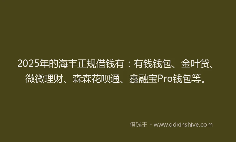 2025年的海丰正规借钱有：有钱钱包、金叶贷、微微理财、森森花呗通、鑫融宝Pro钱包等。