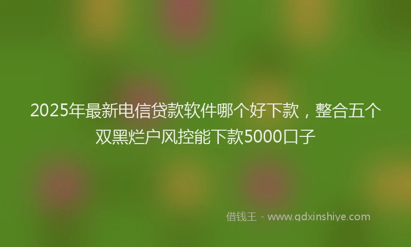2025年最新电信贷款软件哪个好下款，整合五个双黑烂户风控能下款5000口子