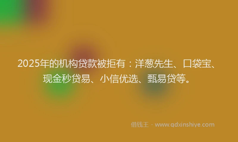 2025年的机构贷款被拒有：洋葱先生、口袋宝、现金秒贷易、小信优选、甄易贷等。