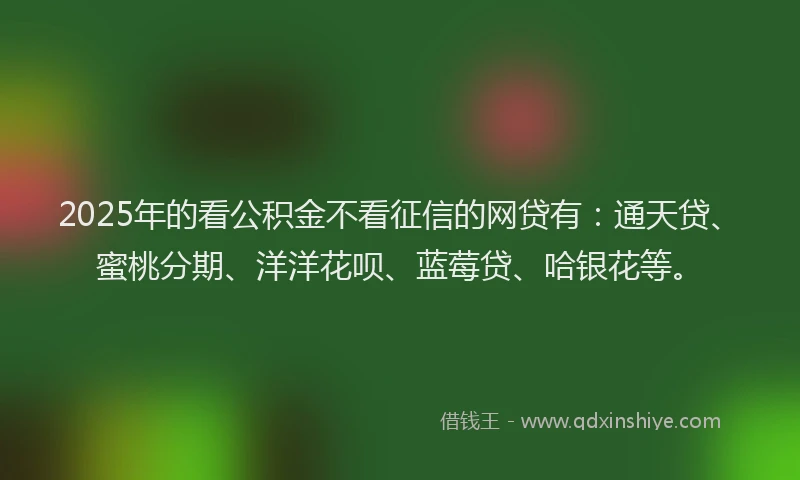 2025年的看公积金不看征信的网贷有：通天贷、蜜桃分期、洋洋花呗、蓝莓贷、哈银花等。