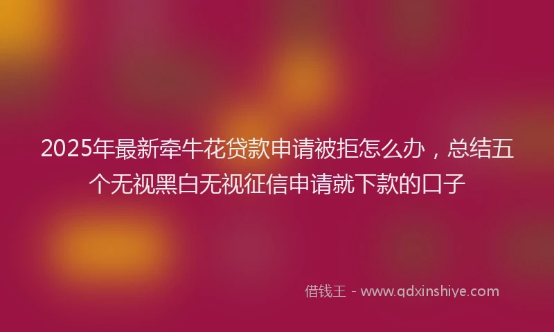 2025年最新牵牛花贷款申请被拒怎么办，总结五个无视黑白无视征信申请就下款的口子