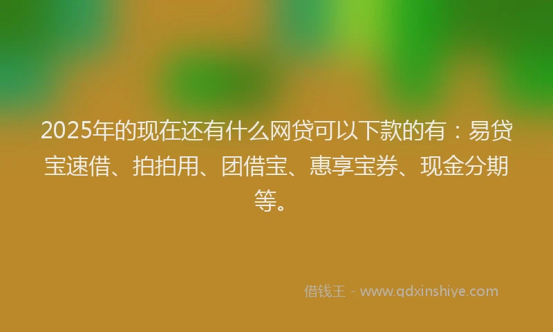 2025年的现在还有什么网贷可以下款的有：易贷宝速借、拍拍用、团借宝、惠享宝券、现金分期等。