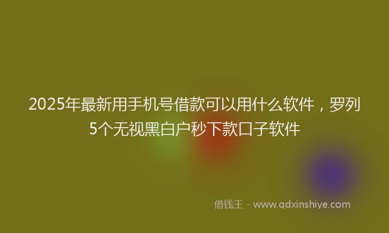 2025年最新用手机号借款可以用什么软件，罗列5个无视黑白户秒下款口子软件