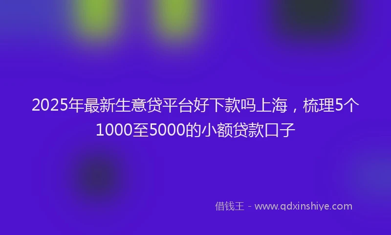 2025年最新生意贷平台好下款吗上海，梳理5个1000至5000的小额贷款口子