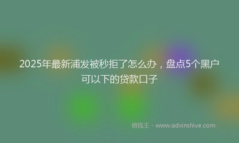 2025年最新浦发被秒拒了怎么办，盘点5个黑户可以下的贷款口子