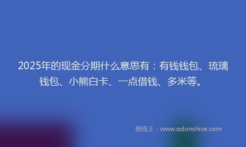 2025年的现金分期什么意思有：有钱钱包、琉璃钱包、小熊白卡、一点借钱、多米等。