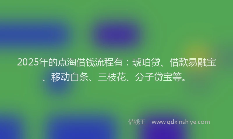 2025年的点淘借钱流程有：琥珀贷、借款易融宝、移动白条、三枝花、分子贷宝等。