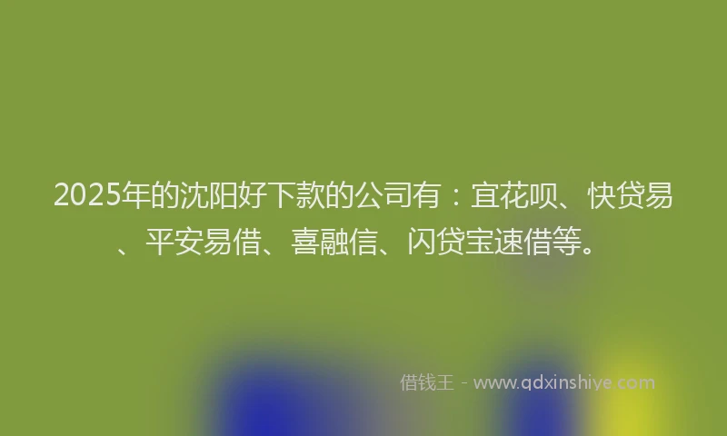 2025年的沈阳好下款的公司有：宜花呗、快贷易、平安易借、喜融信、闪贷宝速借等。