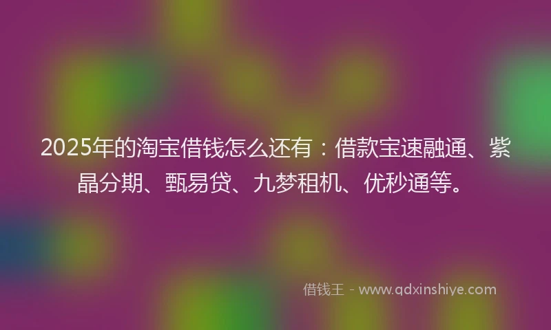 2025年的淘宝借钱怎么还有：借款宝速融通、紫晶分期、甄易贷、九梦租机、优秒通等。