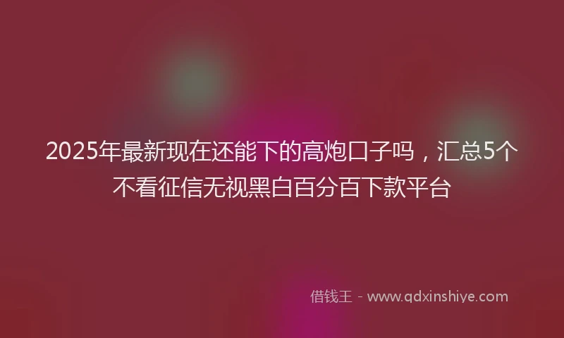 2025年最新现在还能下的高炮口子吗，汇总5个不看征信无视黑白百分百下款平台