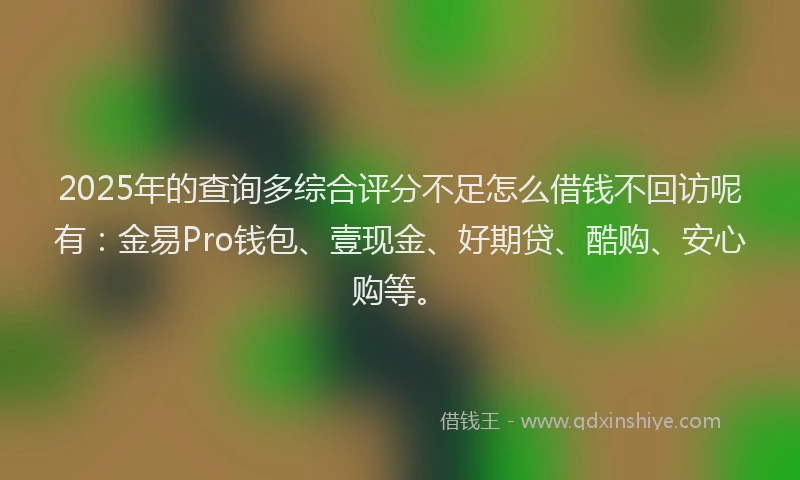 2025年的查询多综合评分不足怎么借钱不回访呢有：金易Pro钱包、壹现金、好期贷、酷购、安心购等。