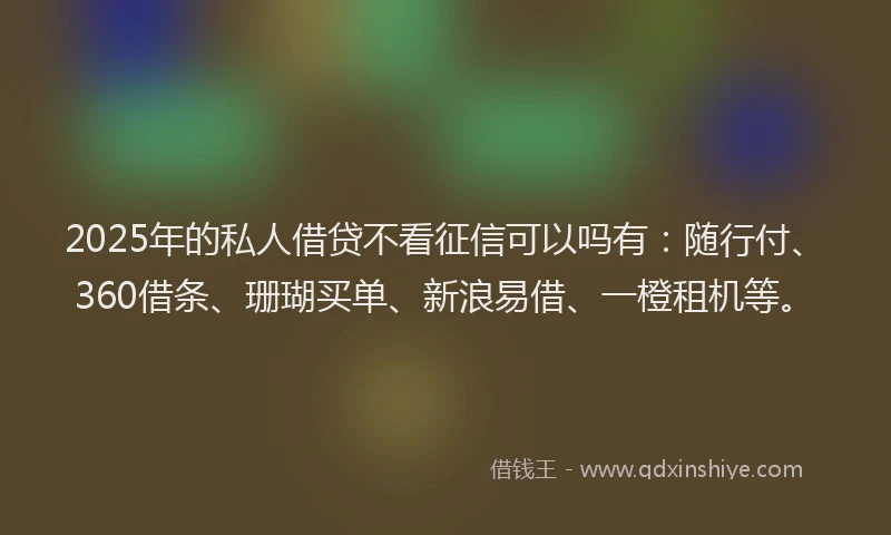 2025年的私人借贷不看征信可以吗有：随行付、360借条、珊瑚买单、新浪易借、一橙租机等。