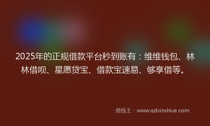 2025年的正规借款平台秒到账有：维维钱包、林林借呗、星愿贷宝、借款宝速易、够享借等。