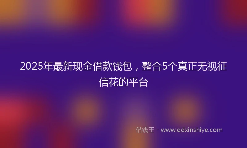 2025年最新现金借款钱包，整合5个真正无视征信花的平台