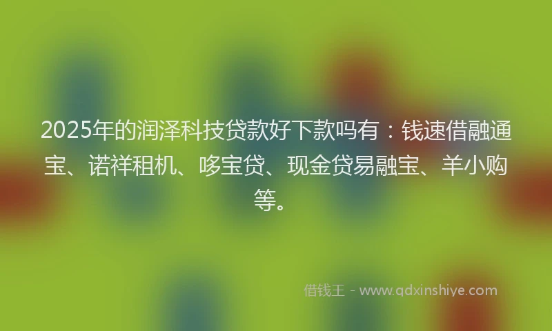 2025年的润泽科技贷款好下款吗有：钱速借融通宝、诺祥租机、哆宝贷、现金贷易融宝、羊小购等。