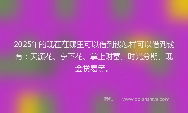 2025年的现在在哪里可以借到钱怎样可以借到钱有：天源花、享下花、掌上财富、时光分期、现金贷易等。