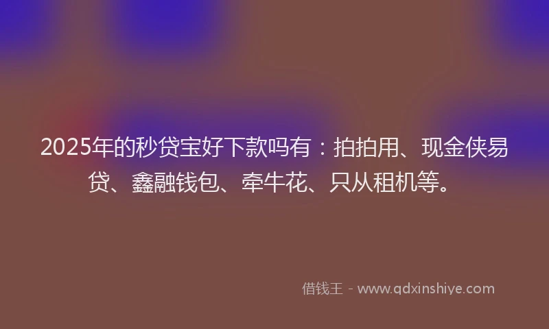 2025年的秒贷宝好下款吗有：拍拍用、现金侠易贷、鑫融钱包、牵牛花、只从租机等。