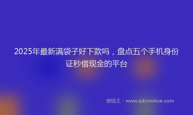 2025年最新满袋子好下款吗，盘点五个手机身份证秒借现金的平台