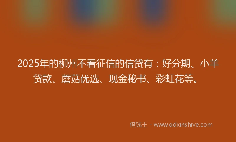 2025年的柳州不看征信的信贷有：好分期、小羊贷款、蘑菇优选、现金秘书、彩虹花等。