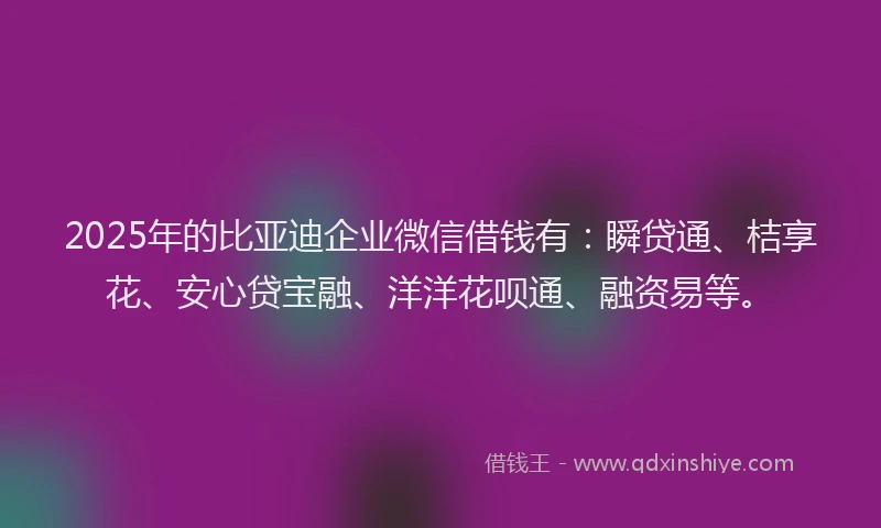 2025年的比亚迪企业微信借钱有：瞬贷通、桔享花、安心贷宝融、洋洋花呗通、融资易等。