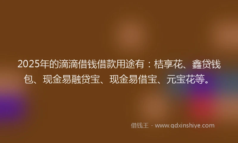 2025年的滴滴借钱借款用途有：桔享花、鑫贷钱包、现金易融贷宝、现金易借宝、元宝花等。
