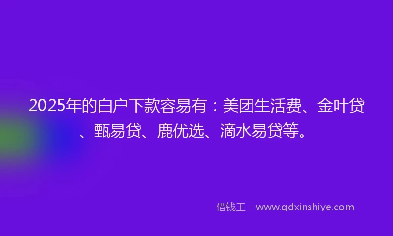 2025年的白户下款容易有：美团生活费、金叶贷、甄易贷、鹿优选、滴水易贷等。