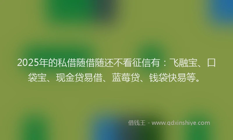 2025年的私借随借随还不看征信有：飞融宝、口袋宝、现金贷易借、蓝莓贷、钱袋快易等。