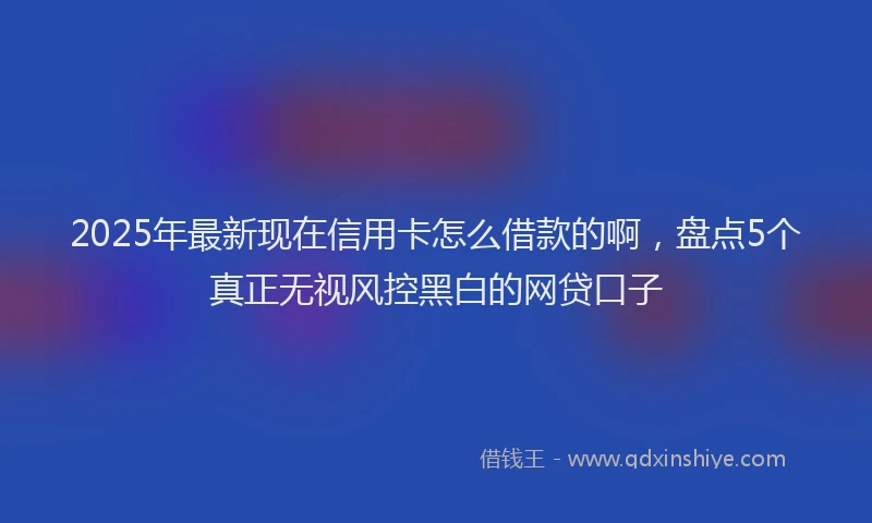 2025年最新现在信用卡怎么借款的啊，盘点5个真正无视风控黑白的网贷口子