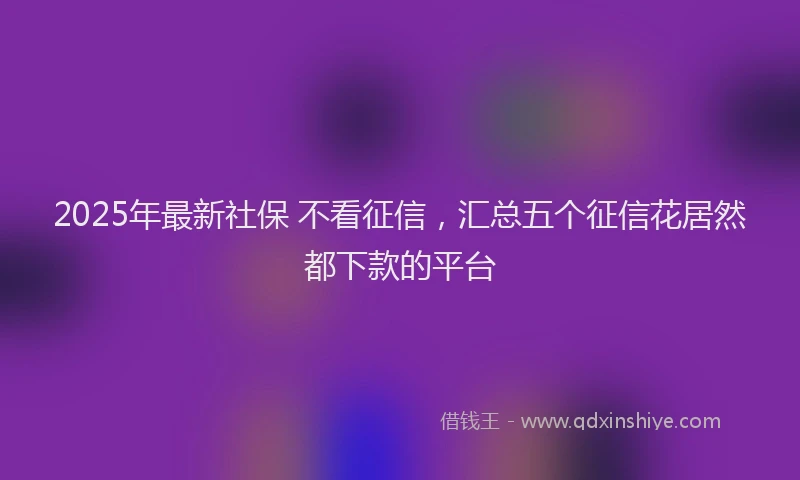 2025年最新社保 不看征信，汇总五个征信花居然都下款的平台