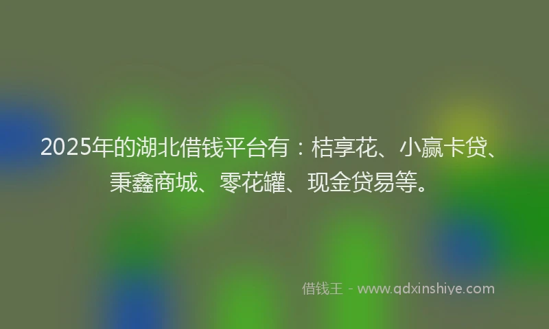 2025年的湖北借钱平台有：桔享花、小赢卡贷、秉鑫商城、零花罐、现金贷易等。