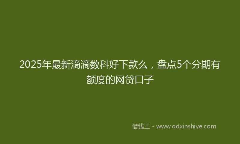 2025年最新滴滴数科好下款么，盘点5个分期有额度的网贷口子