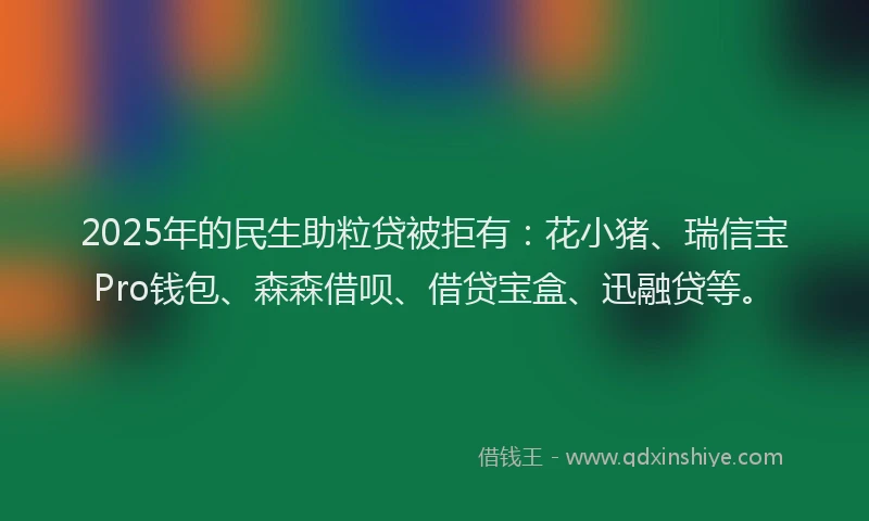 2025年的民生助粒贷被拒有：花小猪、瑞信宝Pro钱包、森森借呗、借贷宝盒、迅融贷等。