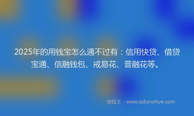 2025年的用钱宝怎么通不过有：信用快贷、借贷宝通、信融钱包、戒易花、普融花等。