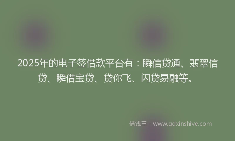 2025年的电子签借款平台有：瞬信贷通、翡翠信贷、瞬借宝贷、贷你飞、闪贷易融等。
