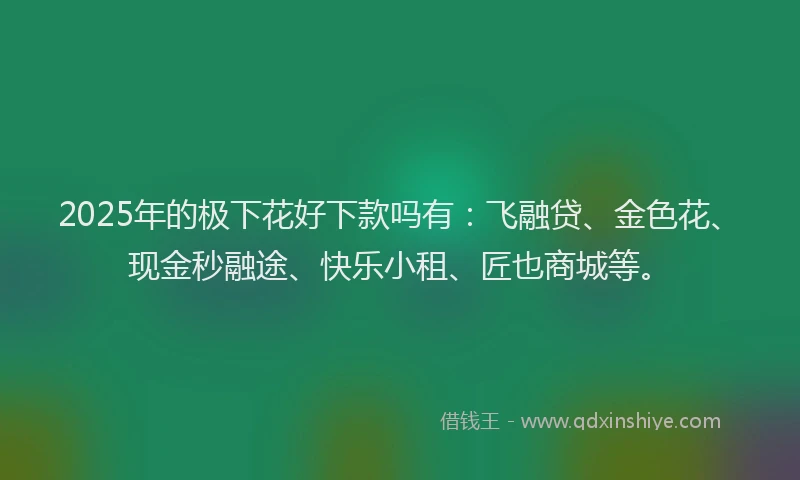2025年的极下花好下款吗有：飞融贷、金色花、现金秒融途、快乐小租、匠也商城等。