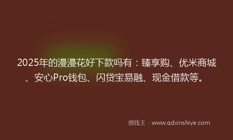 2025年的漫漫花好下款吗有：臻享购、优米商城、安心Pro钱包、闪贷宝易融、现金借款等。