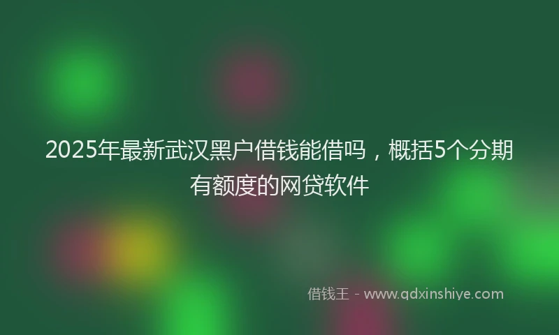 2025年最新武汉黑户借钱能借吗，概括5个分期有额度的网贷软件