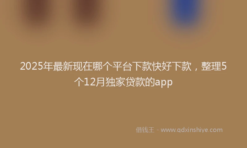 2025年最新现在哪个平台下款快好下款，整理5个12月独家贷款的app