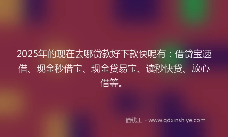 2025年的现在去哪贷款好下款快呢有:借贷宝速借、现金秒借宝、现金贷易宝、读秒快贷、放心借等。