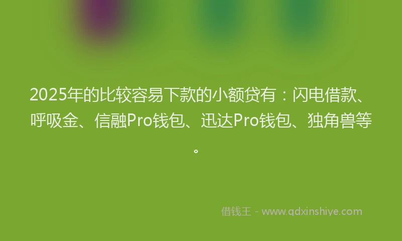 2025年的比较容易下款的小额贷有:闪电借款、呼吸金、信融Pro钱包、迅达Pro钱包、独角兽等。