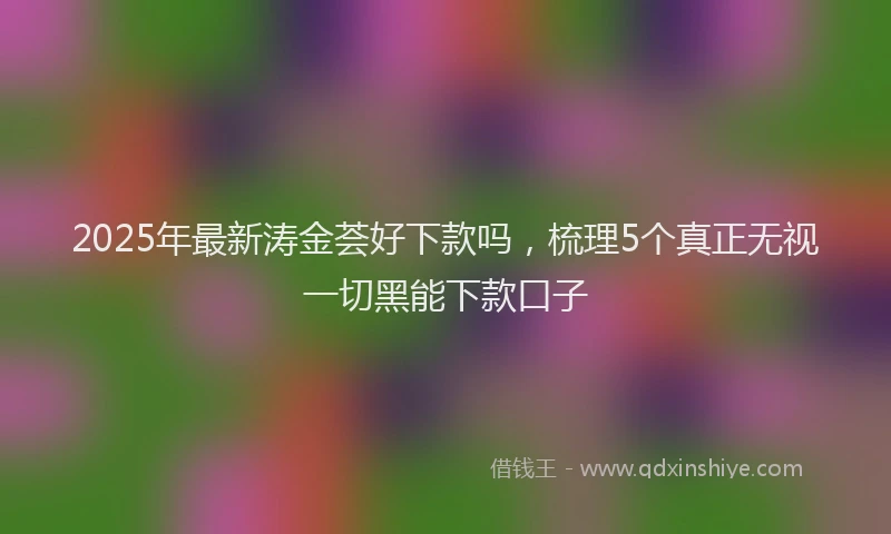2025年最新涛金荟好下款吗，梳理5个真正无视一切黑能下款口子
